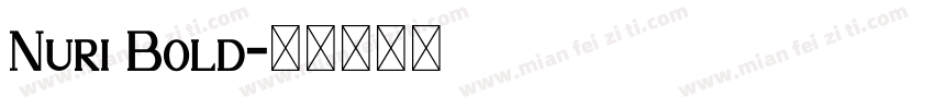 Nuri Bold字体转换